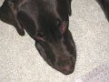 2009_10_01 Hemi_0799